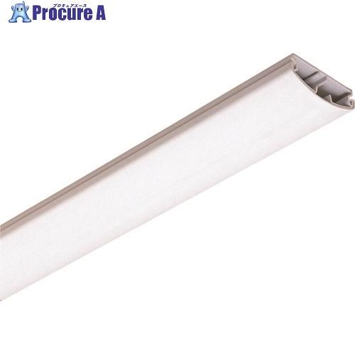 未来 天井モール  ■▼204-6105 TML-80W  1個