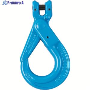 大洋製器工業 重量フックバネ付 使用荷重 1t アイフック ラッチ