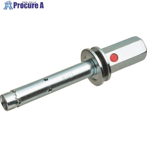 サンコー イージーアイアンカー  ▼207-3590 EZI-3045CN  30本