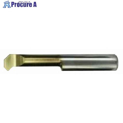 イスカル ピコカット小径ソリッドバー PICCO R/L 060 IC228  ▼210-4474 ...