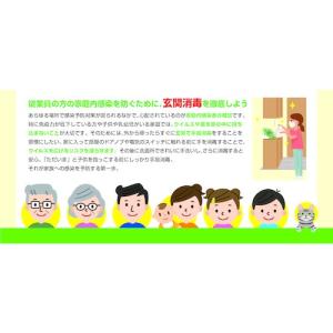 サラヤ 【売切廃番】手指消毒用アルコールジェル...の詳細画像3