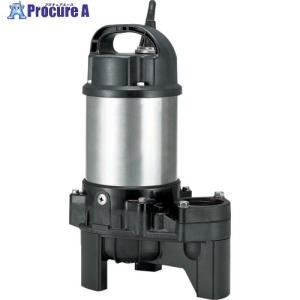 寺田ポンプ 水中ポンプ PGA-750 (三相200V/0.75kW/自動型