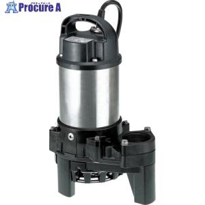 寺田ポンプ 水中ポンプ PGA-750 (三相200V/0.75kW/自動型