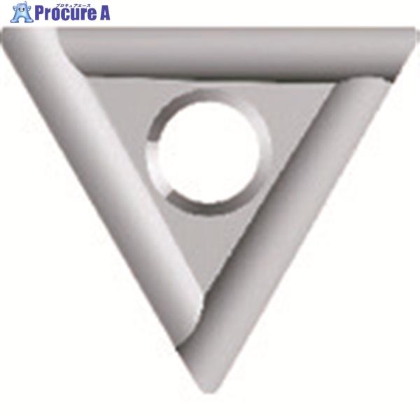 富士元 メントルビー専用チップ ハイス (6コーナータイプ) HSS  ▼228-1015 TM32...