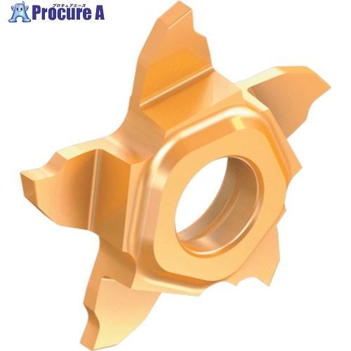 イスカル 溝入れ・突切り工具用チップ PENTA 17R/L-P-RS 右勝手 チップ長さ17mm ...
