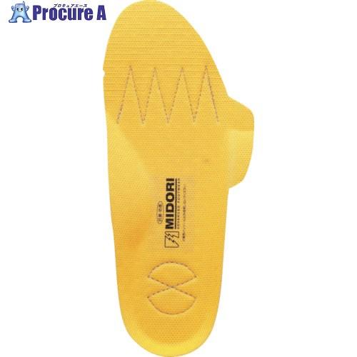 ミドリ安全 靴備品 PT5用静電インソール 23cm  ■▼247-1147 22999241-23...