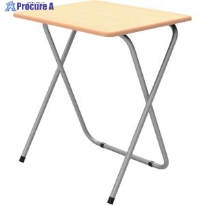 ナカバヤシ 折りたたみデスク   250-7254 NFD-6050-CNM  1台
