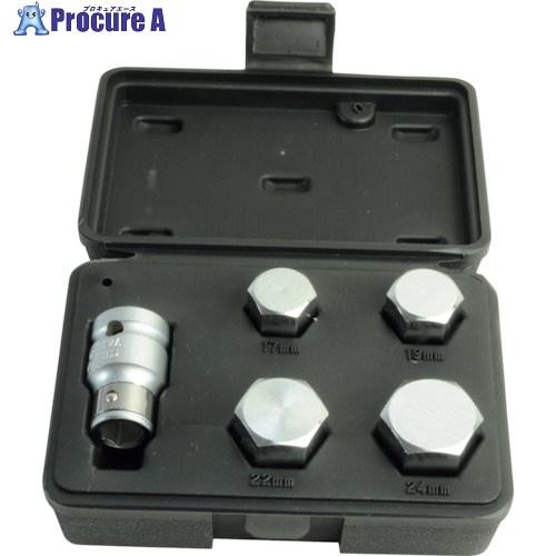 アストロプロダクツ M/C アクスルシャフト用ビットセット(5個組)  ■▼253-1676 200...