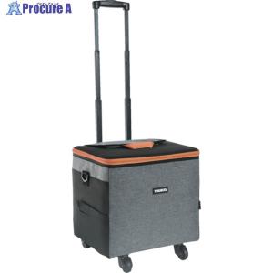 TRUSCO中山 TRUSCO 保冷バッグT-Coolio 26L ▽268-4414 CLBCA 1個