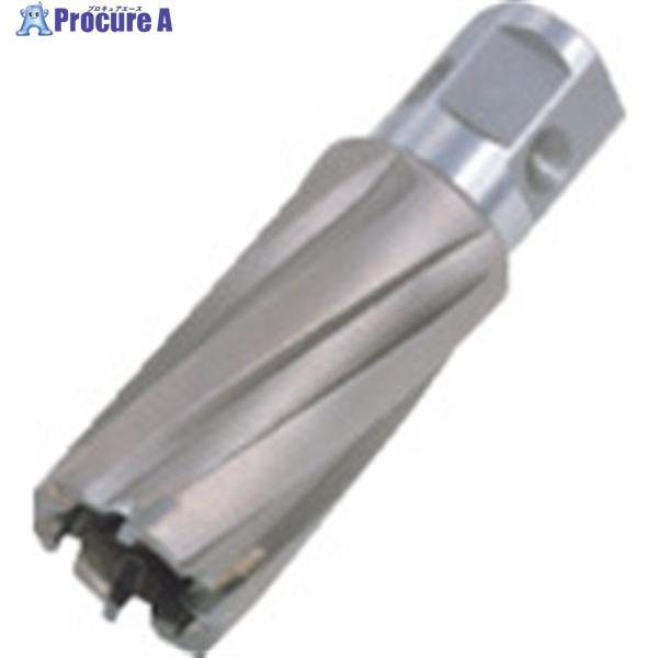 日東 ジェットブローチ ワンタッチタイプ 15X25L 16315  ▼274-9505 NO.16...