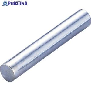 TONE インパクト用ピン 3.5X22L (1Pk(袋)＝10個入) ▼281-7047 PIN3522S 1パック ●YA513