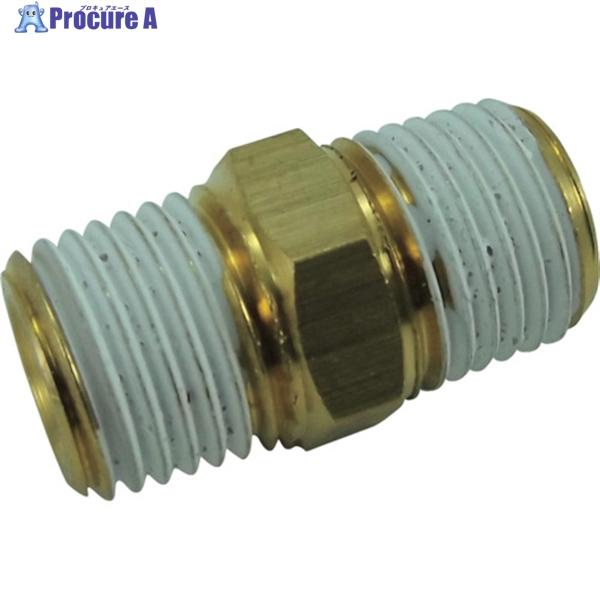 チヨダ ニップル R1/4・R1/4  ▼313-8241 N-2M-2M(GT-31)  1個