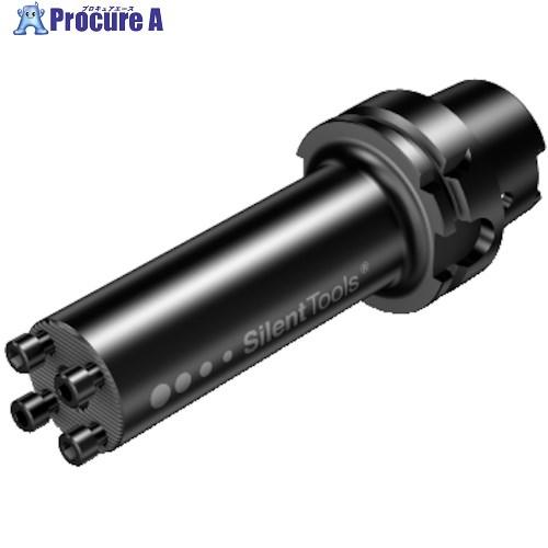 SANDVIK HSK コロターン SL防振型アダプタ(410)  ■▼314-9849 HT06-...