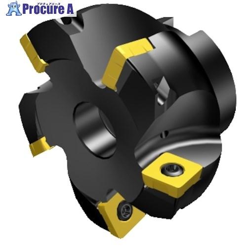 SANDVIK コロミル210 正面フライスカッター(450)  ■▼315-0455 RA210-...