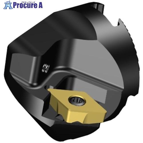 SANDVIK コロターン107 バックボーリング用ヘッド(480)  ■▼315-7712 TIT...