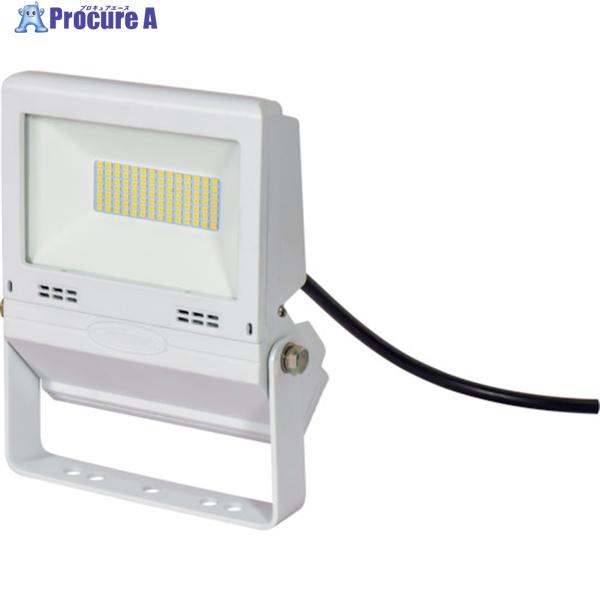 NICHIDO LED投光器 常設用フラットライト30W 白  ▼332-9515 LJS-FH30...