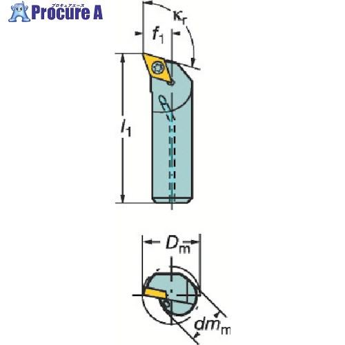 SANDVIK コロターン107 ポジチップ用ボーリングバイト(210)  ■▼339-1281 A...