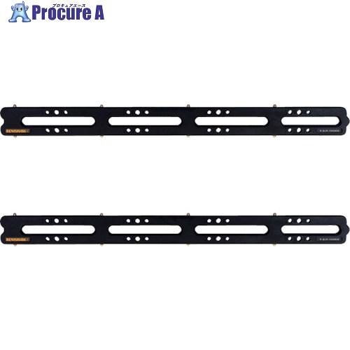 レニショー 三次元測定機用QuickLoadレールキット(メートル法)QLR 50X600MM (X...