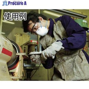 3M 使い捨て式防じんマスク 8205 DS2...の詳細画像1