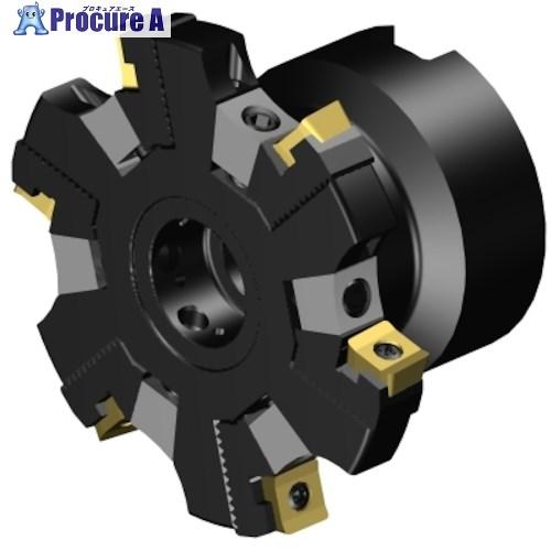 SANDVIK ハーフサイズおよびバックフェースフライス加工用調整可能カッター(450)  ■▼35...