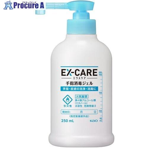 Kao 業務用EX-CARE 手指消毒ジェル 250mL  ■▼352-1545 374943  1...