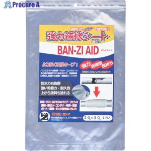 BANーZI 太陽光硬化補修シート BAN-ZI AID 20cm×30cm(大) クリーム ▼370-1693 H-AID/2030 1枚