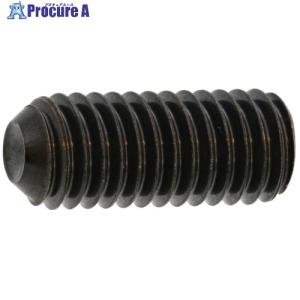 SUNCO 三価ブラック HS(ナガイ くぼみ先 2.6×6 (60本入) ■▼371-8303 A0-00-500M-0026-0060-04-60 1パック