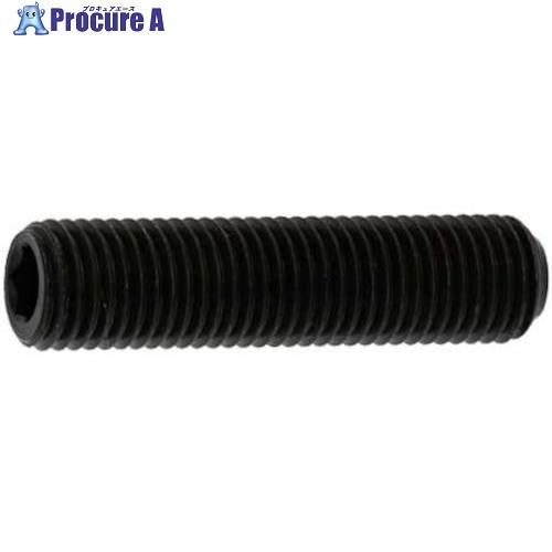 SUNCO HSヒラサキ 細目P1.25 10×15 (20本入)  ■▼372-2034 A0-0...