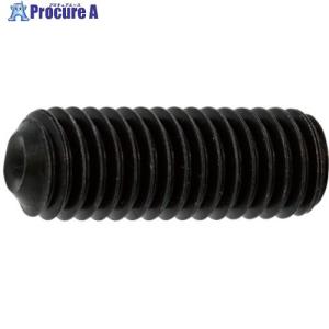 SUNCO ステンHS(クボミ先 1.4×3 (2本入) ■▼373-1170 A0-02-5000-0014-0030-00-2 1パック