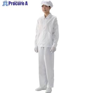 ADCLEAN 塗装用クリーンスーツ(142-10402-3L) ▽354-4061 CK1040-2-3L