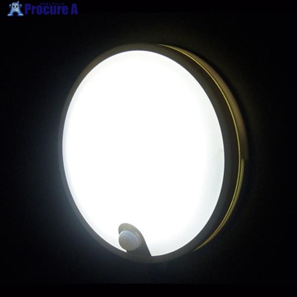 REVEX カベピカ SLK800  ▼382-8945 SLK800 (20777)  1個