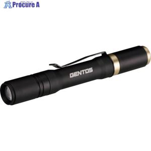 GENTOS 充電式LEDハンディライト レクシード304R  ▼385-5802