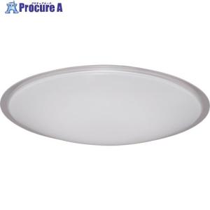 IRIS LED照明器具 289154 非常灯 低天井用 埋込形 Φ100 450lm 昼白色