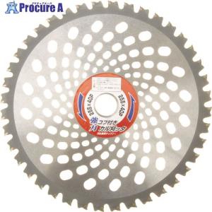 サボテンの骨 3個セット カクタススケルトン カクタスボーン サイズ約