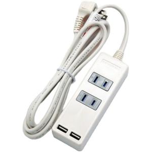 STARLIGHT USBポート付タップ2個口...の詳細画像1