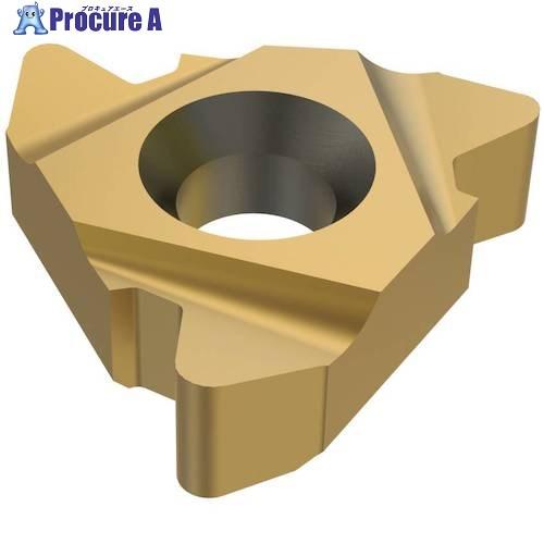 セコ 旋削 ねじ切り用インサート CP300  ▼429-8625 22ER4API386  CP3...