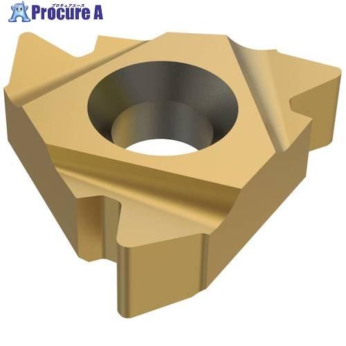 セコ 旋削 ねじ切り用インサート CP300  ▼430-0138 22ER5API404  CP3...