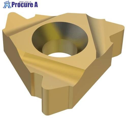 セコ 旋削 ねじ切り用インサート CP500  ▼430-0141 27ER4API384  CP5...