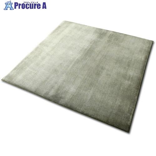 IRIS 101870 ラ・クッションラグ グリーン  ■▼438-2697 ACRB-1818-M...