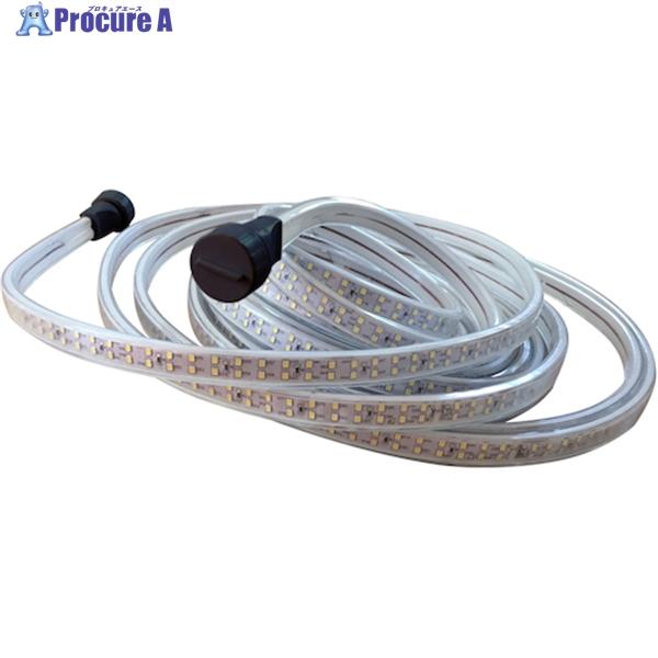 SHOWA LEDテープライトS 10m  ▼451-4573 SW-21-01  1本