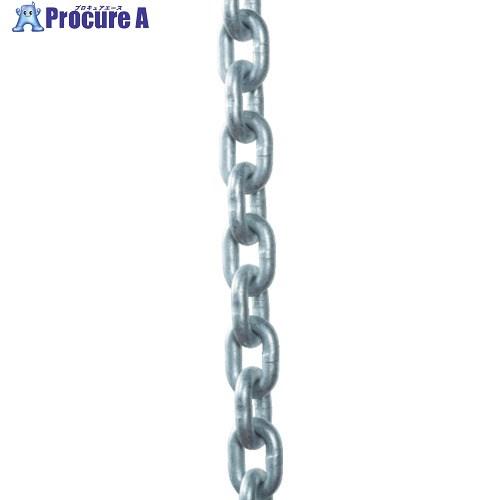 象印 チェーン7.1φ(チェンスリング100用) (C10-7.1)  ■▼460-7457 C10...