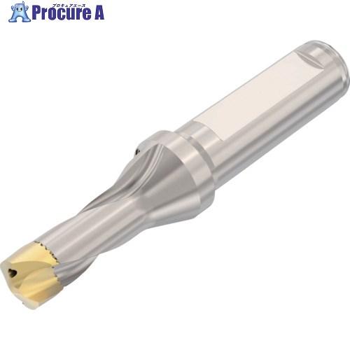 セコ ドリル加工 Crownloc(クラウンロック) SD101  ▼484-1829 SD101-...