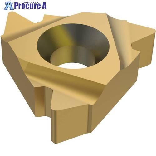 セコ 旋削用 ねじ切り用インサート CP300  ■▼484-5377 27ER4API506  C...