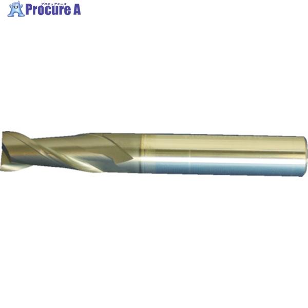 MAPAL 超硬スクエアエンドミル ECO-Endmill(M4032) 2枚刃/スクエアエンドミル...
