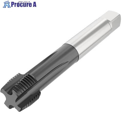 セコ ねじ切り工具  ■▼488-7877 T34-PH21B09-3/8-19-12R  1個