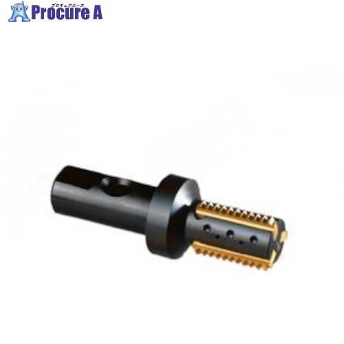 セコ フライス ねじ切り工具  ■▼488-9492 R396.19-2522.3S-4003-3-...