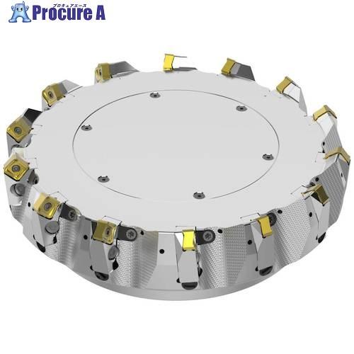 セコ フライス ダブルクワトロミル14-48° カッタ―  ■▼489-4232 R220.54-8...