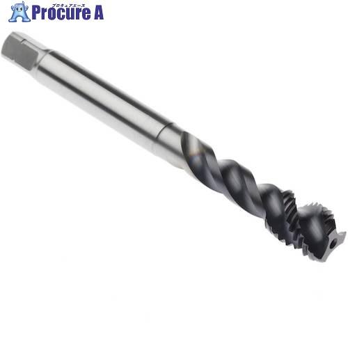 セコ タップ  ■▼490-8489 MTH-M12X1.00ISO6HX-BC-P011  1個