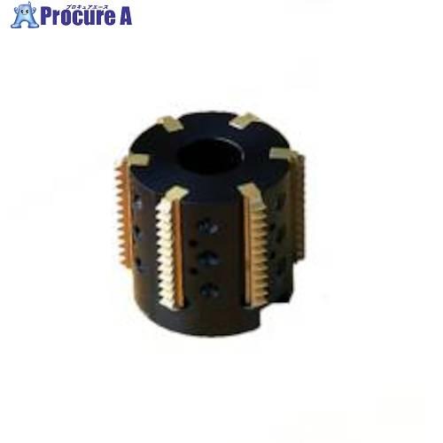 セコ フライス ねじ切り工具  ■▼490-9923 R396.19-0058-4005-6AM  ...