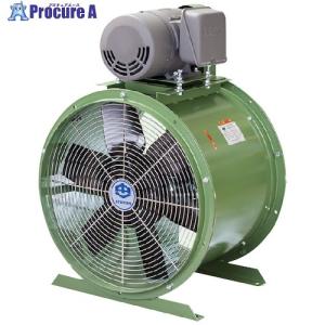 スイデン（Suiden） 送風機 どでかファン ハネ700mm 3相200V 低騒音